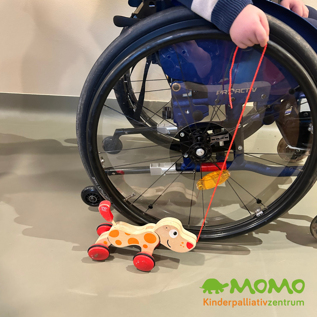 ©Sandra Kosel, ©Stefanie J. Steindl